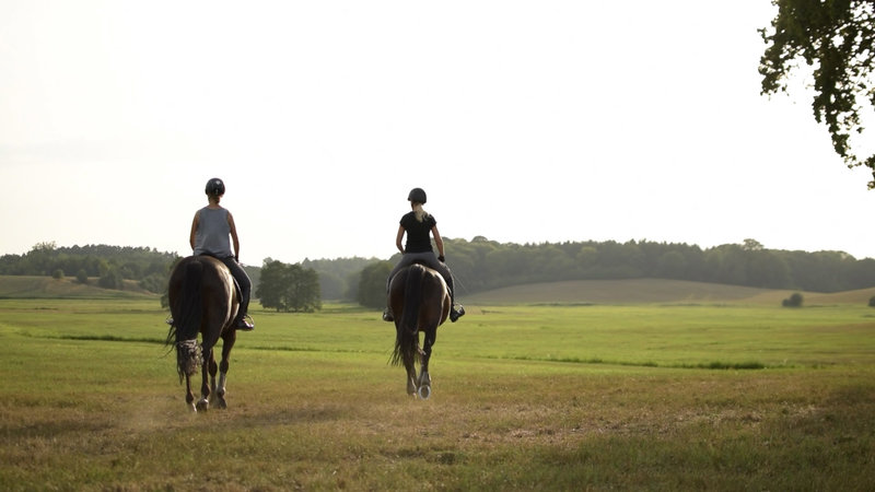 csm_WiFoeg_SWM_Region_Reiten_29461b3b66